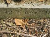 image of grave number 366034